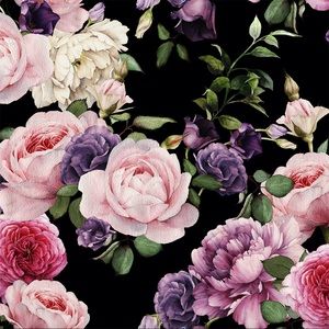 Meet your Posher, Dev